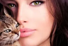 women cats bengal faces Art HD Wallpaper